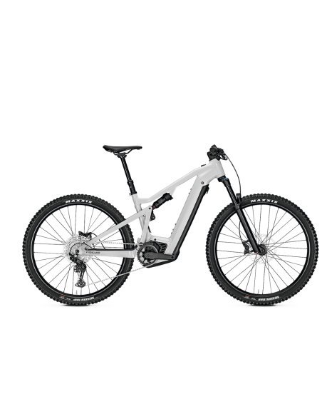 Focus Thron2 6.7 2024