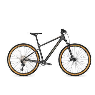 Focus Whistler 3.9 2024