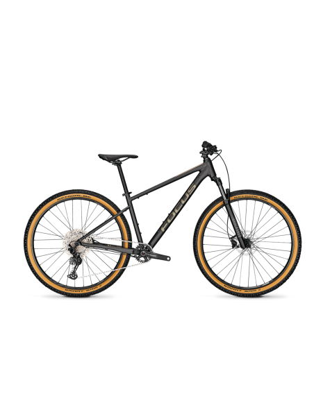 Focus Whistler 3.9 2024