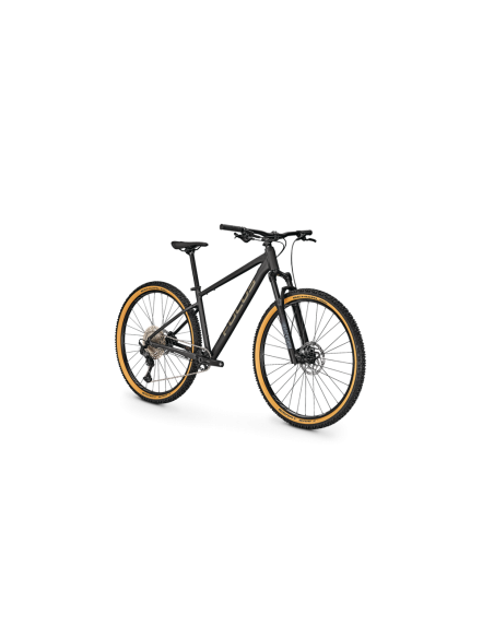 Focus Whistler 3.9 2024