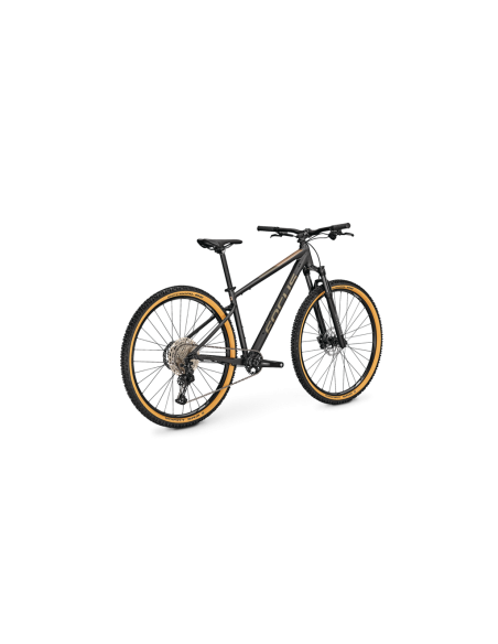 Focus Whistler 3.9 2024