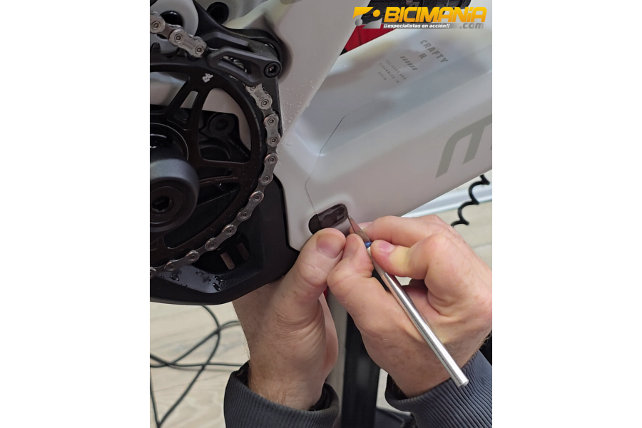 Vinilado Completo de Bicicleta, (Incluido Vinilo).