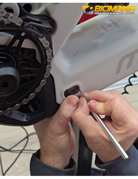 Vinilado Completo de Bicicleta, (Incluido Vinilo).