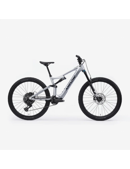 Bicicleta Amflow PL Carbon (800 Wh)