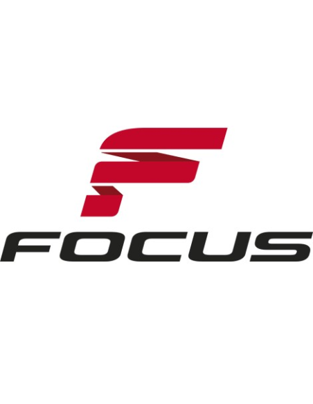 Focus