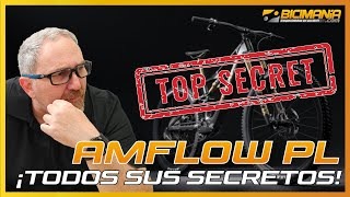 Probamos la TAN POLÉMICA y CONTROVERTIDA Amflow... ¿Es tan buena como la pintan?